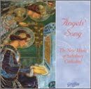 Angel's Song-New Music of Sali