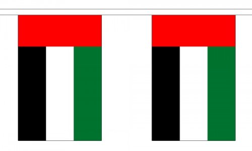 9 Metres 30 (9" x 6") Flag UAE United Arab Emirates 100% Polyester Material Bunting Ideal Party Decoration For Street House Pubs Clubs Schools