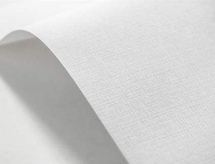 Netuno 20x White Checkered Embossed cardstock A4 210x297mm 8.3x11.7in 246gsm Elfenbein Textured Paper Decorative cardstock for Invitations menus Photo Albums Table Cards Covers Business Cards Flyers