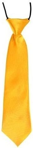 L&C®New Satin Elastic Neck Tie for Wedding Prom Boys Children School Kids Gift