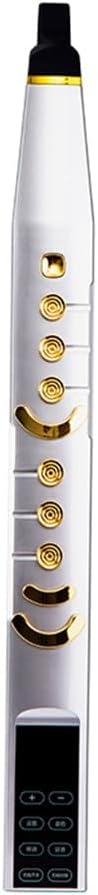 Qwertfeet I9 Mini Saxophone, Digital Wind Instrument, 99 Tone Mini Electronic Wind Instrument, Built-in HiFi Speaker 10W Silver