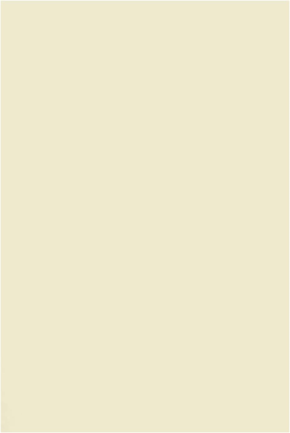 Netuno 1000 x Ivory Craft Paper DIN A4 210 x 297 mm 120 g Arena Smooth Ivory Printer Paper Cream Colour Laser Paper Drawing Paper Laser Paper Brochure Paper Letter Paper Office Paper Cream A4