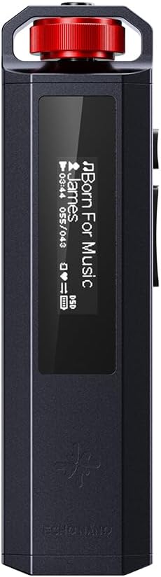 FiiO SNOWSKY Echo Nano Retro HiFi Music Player with Scroll Wheel, CS43131 DAC, USB DAC, Lossless Audio Player Supporting DSD256/FLAC/WAV/MP3, 3.5mm Output, 256GB Expansion (Black)