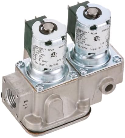 Baso G96HGA GAS VALVE
