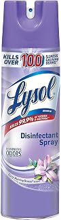 Lysol Disinfectant Spray, Sanitizing and Antibacterial Spray, For Disinfecting and Deodorizing, Early Morning Breeze, 19 Fl Oz, (Packaging May Vary)