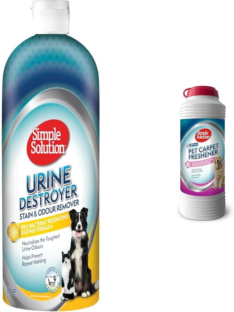 Simple Solution Carpet and S&O