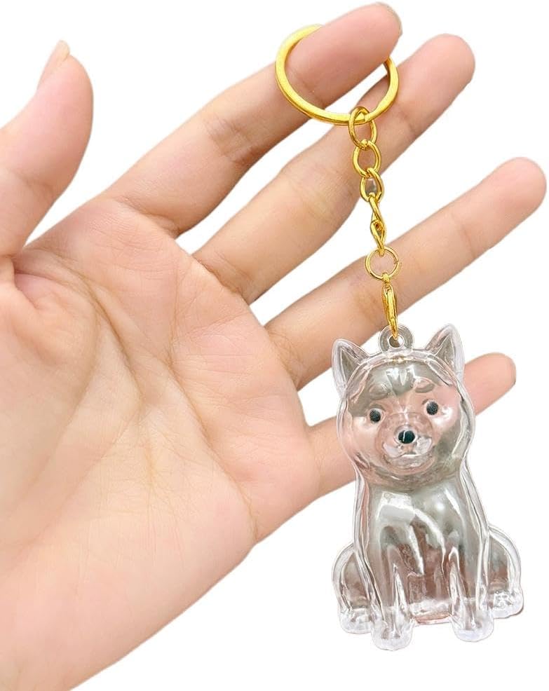 Pet Hair Collection Pendant Acrylic Keychain Handmade Pet Bag Fur Keepsake Pendant Capsule hair hair keycha and keychain key Thick Friendship Tribe Keychain Pet pendant dog hair For Inspiratio