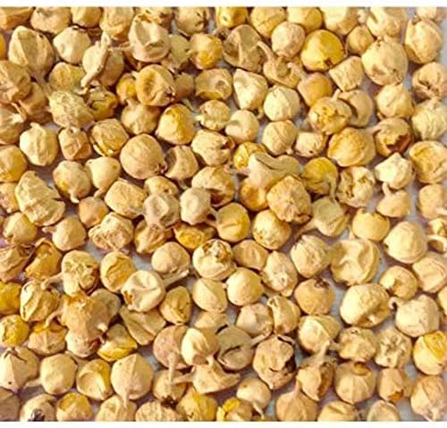 Paneer DODI | Indian Rennet | Paneer Doda | Withania coagulans 100gram
