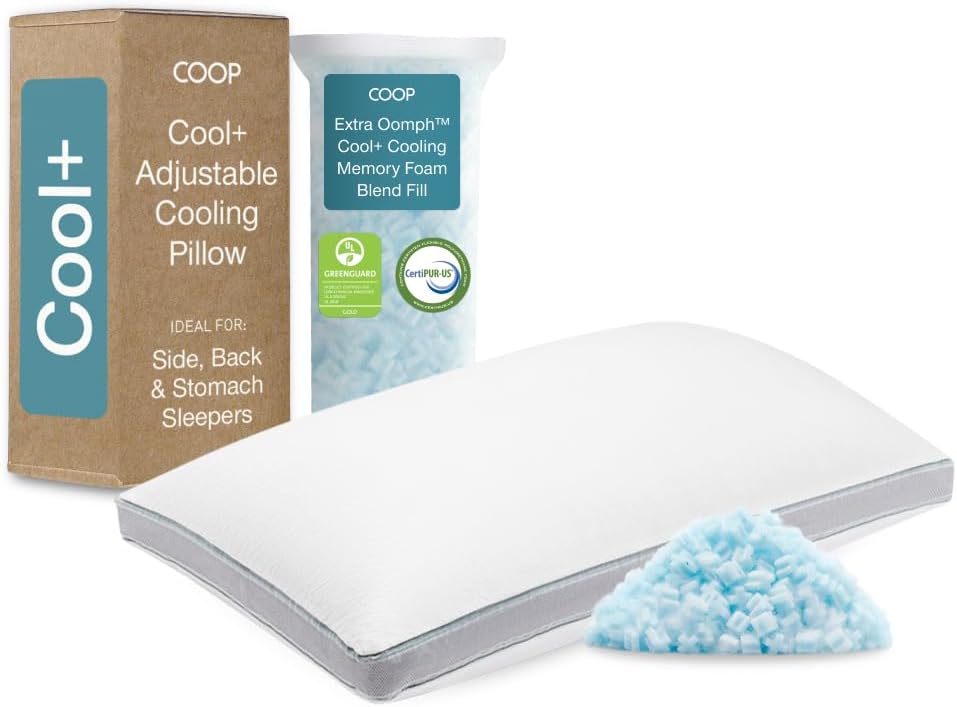 Coop Home Goods Eden Plus Pillow King