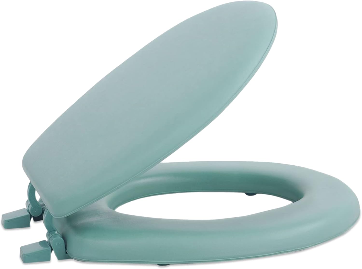 Achim Home Furnishings TOVYSTLG04 17-Inch Fantasia Standard Toilet Seat, Soft Light Green