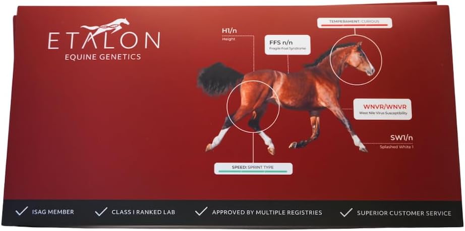 Etalon Equine Genetics Pro Package Horse DNA Test - Genetic Testing Kit (70+ Traits) to Identify Equine DNA - Test for Coat Color & Patterns, Disease Risk, Abilities & Performance Genetics & More
