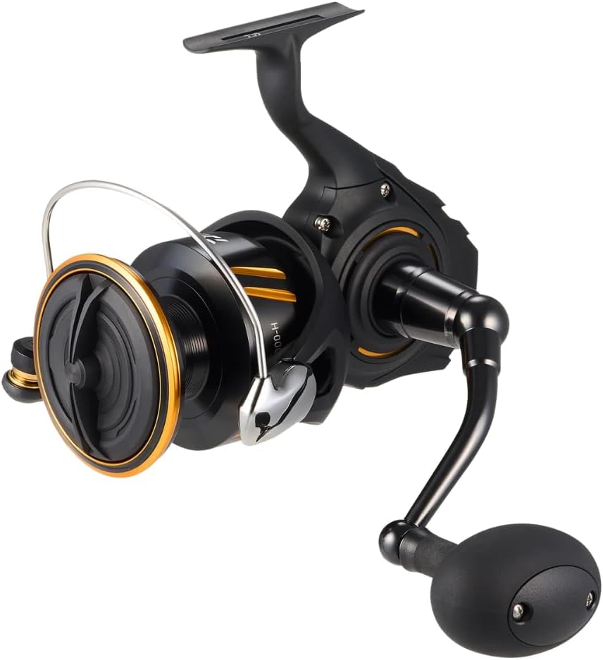 DAIWA BG SW Spinning Reel