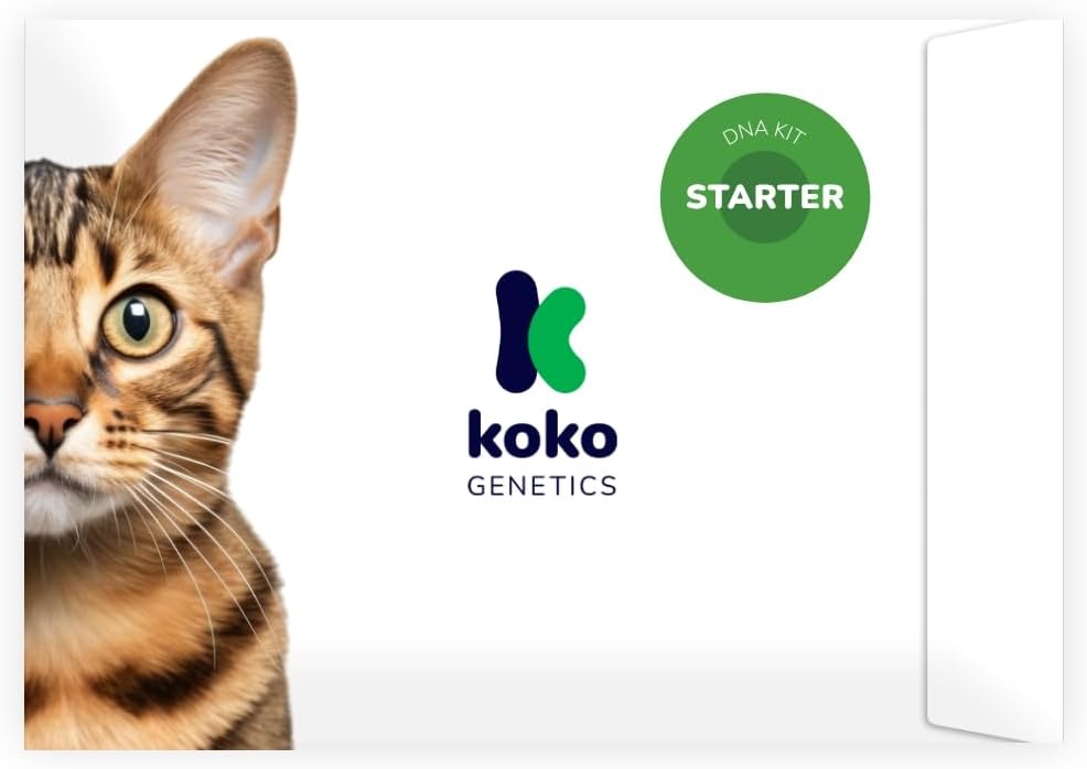 Koko Genetics Starter DNA Test for Cats, Analyzes & Identifies 40+ Breeds and Offers 46+ Genetic Traits and Family Tree Reports, Lifetime Updates Included