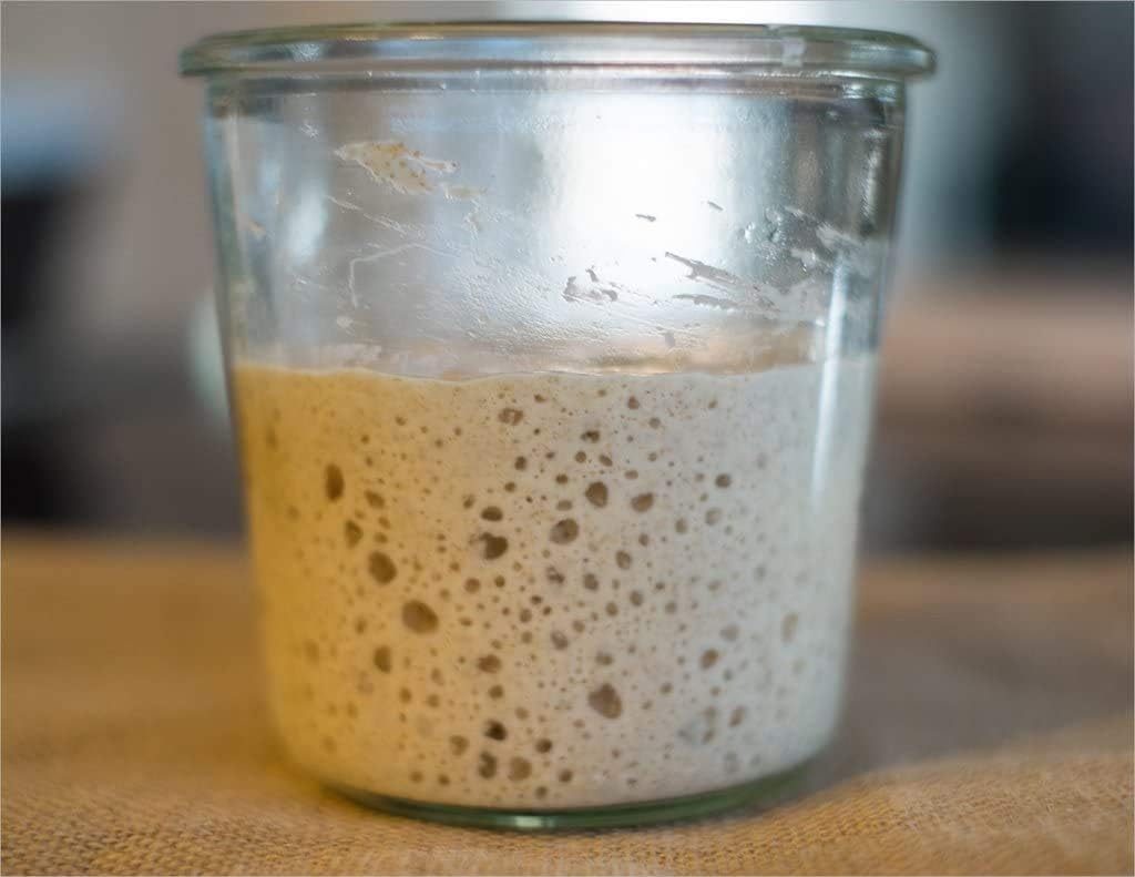 Certified Organic Live Sourdough Starter, Very Old and Mature - 46 year old Lake District Starter, Bread Starter - 80g for all types of flour with printed instruction by Kombuchaorganic®