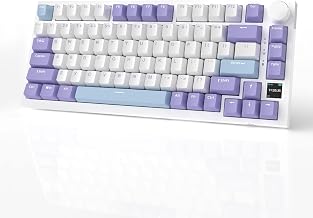 AK820PRO 75% Hot Swap Gasket Mount Mechanical Keyboard with TFT Display Screen, 4000mAh BT/2.4G/Wired RGB South Facing LED, Knob Control for E-Sport/Windows/Mac, Gift Switch