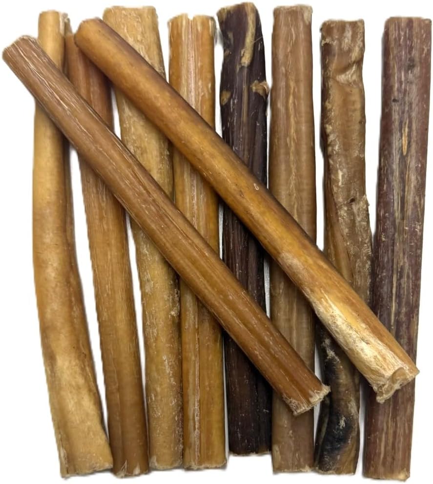 Maltbys' Stores 5x Standard 5" Bulls' Pizzles [SHC]