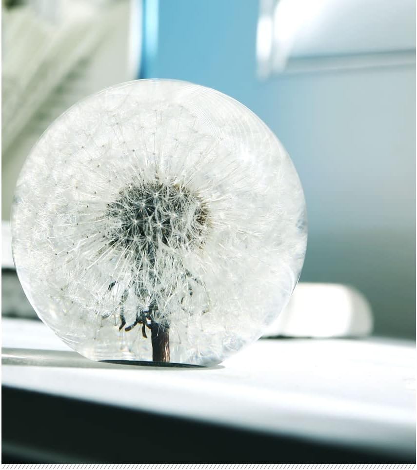COREFLEX Real Dandelion Paperweight, Dandelion in Resin Ball in Gift Box, 2.75inch(70mm) Home Office Desktop Decor Decoration, Birthday, Wedding Gift and Valentine's Day