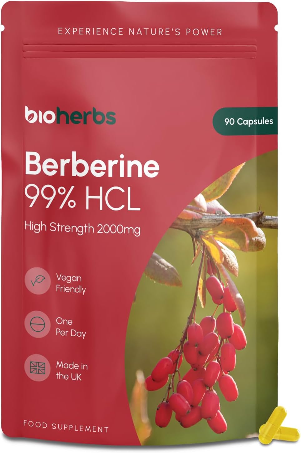 Berberine HCL Supplement High Strength - 2000mg 99% HCL by BioHerbs | 90 One-Per-Day Capsules (3-Month Supply)