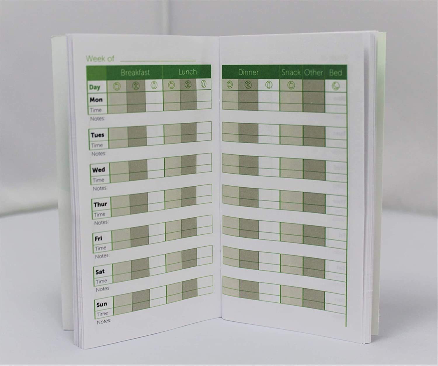 Logbook Diabetic