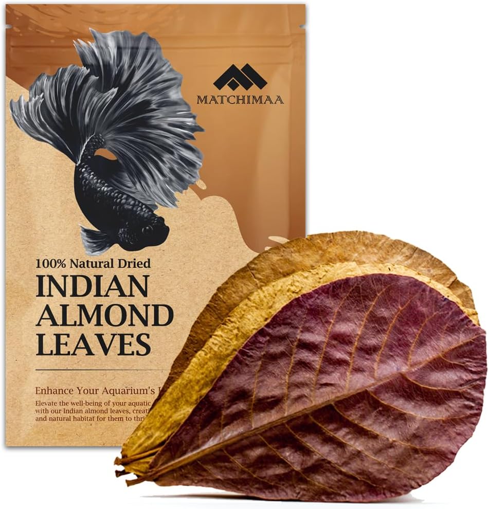 Premium Indian Almond Leave. Aquarium Decorations Size 6-9" Pack 50g(20-25 Leaves). Catappa Leaves Rich in Tannin. Superb to be Health Better, Vitality, Succesful Breeding! of Shrimp & Betta Fish Tank