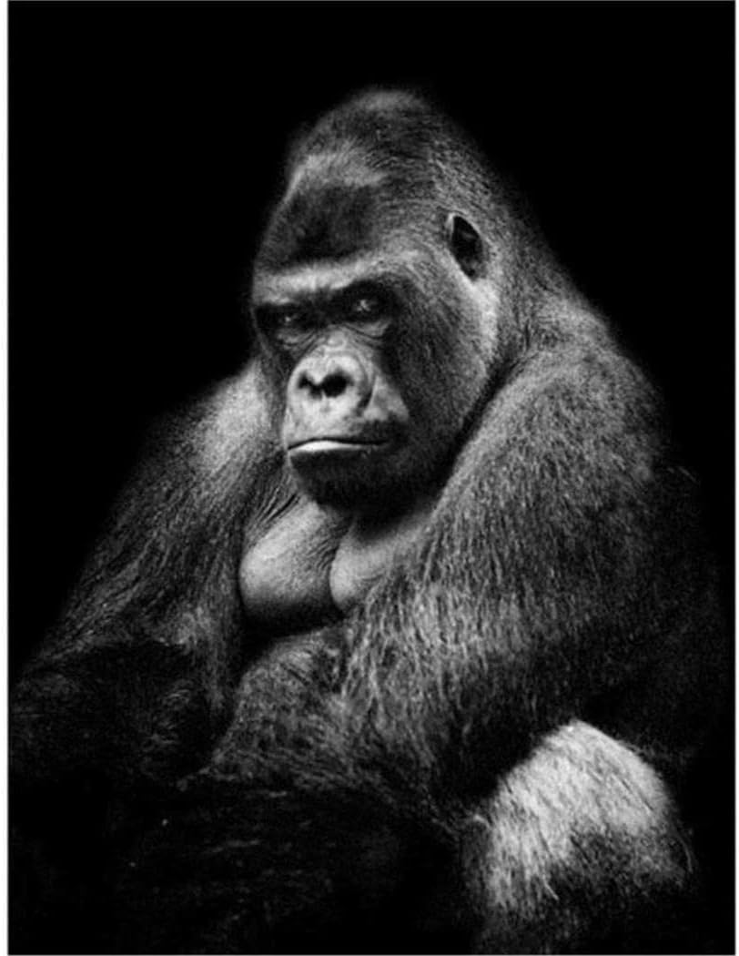 Adult 1000piece gorilla puzzle for children, arts and crafts, 52x38cm