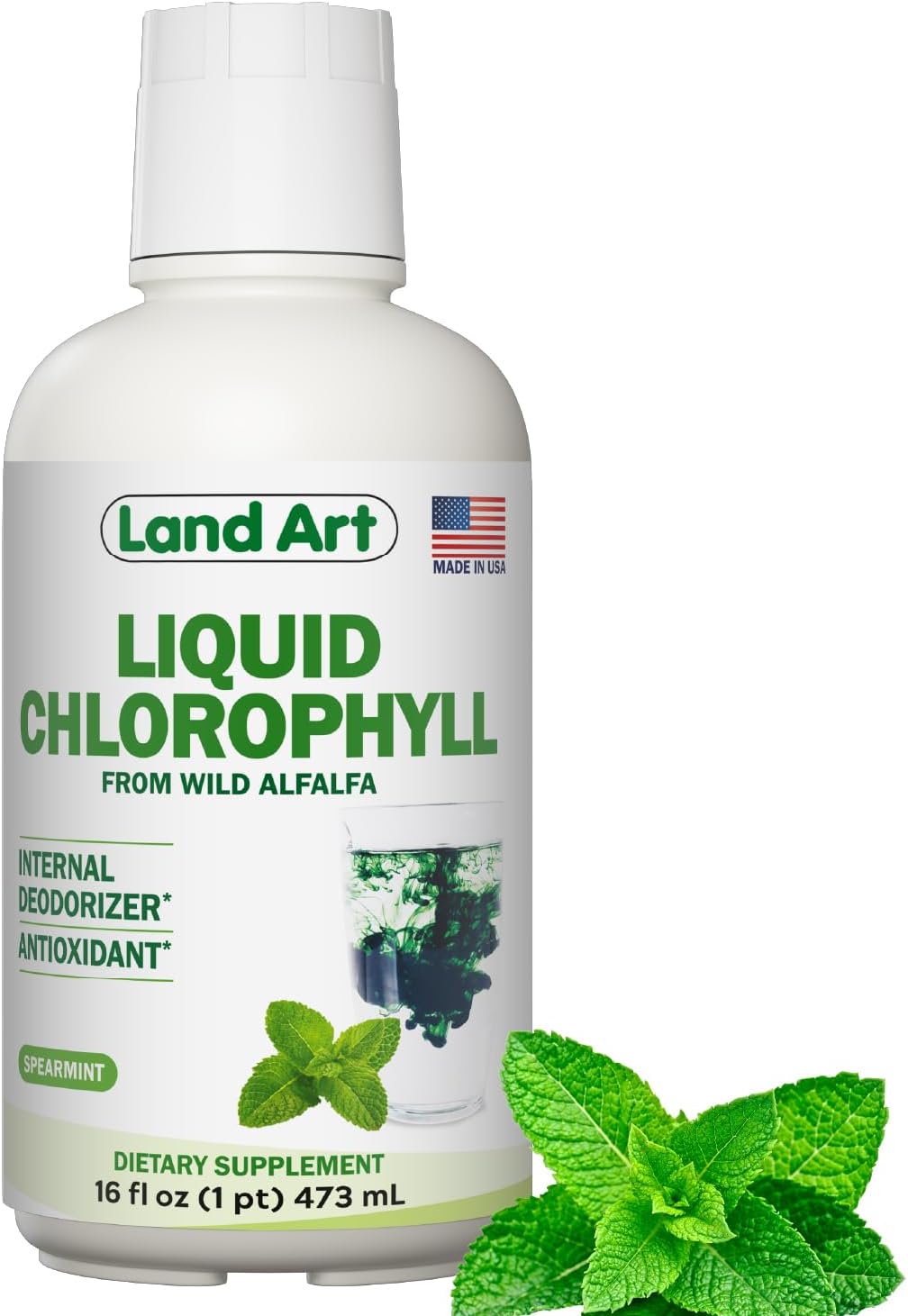 Chlorophyll, Cold-Extracted, Wild Alfalfa, Body Odor, Mint, 16 fl oz