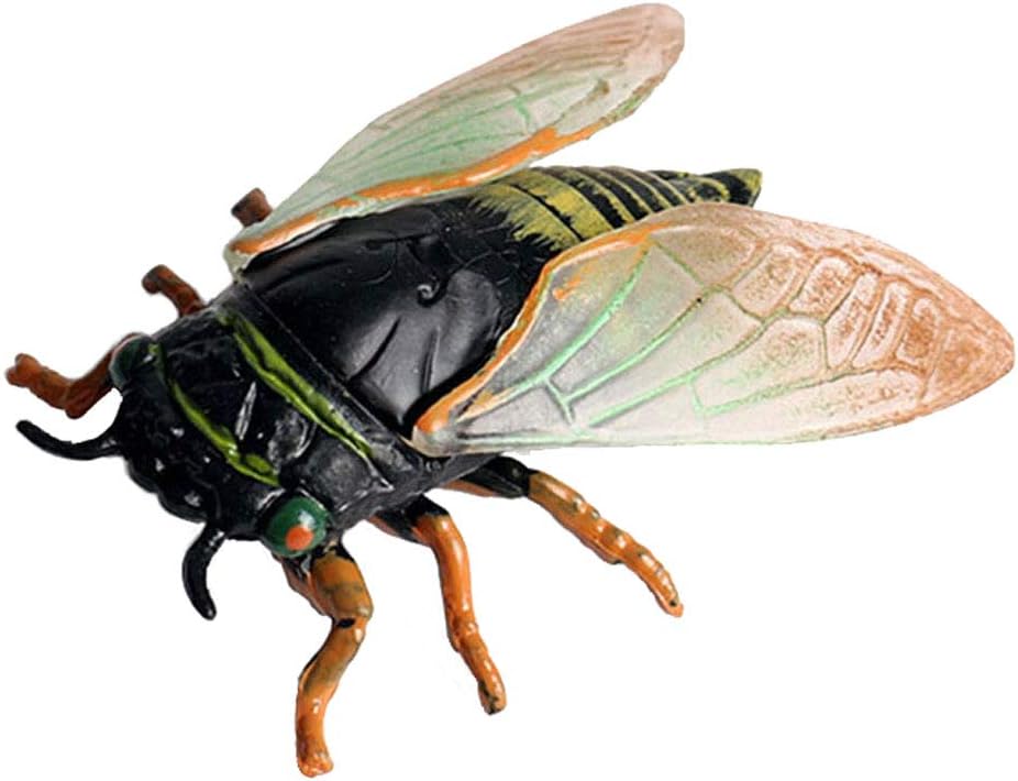 Realistic Animal Figures Cicada Figurines Insect Toy, Science Project, Cake Topper, Early Educational Toys Birthday for Toddlers Kids Age 3 4 5