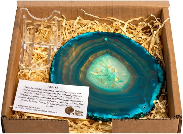 British Fossils Gift Boxed Decorative Agate Slice Ornament with Stand (5" Green Agate Slice)