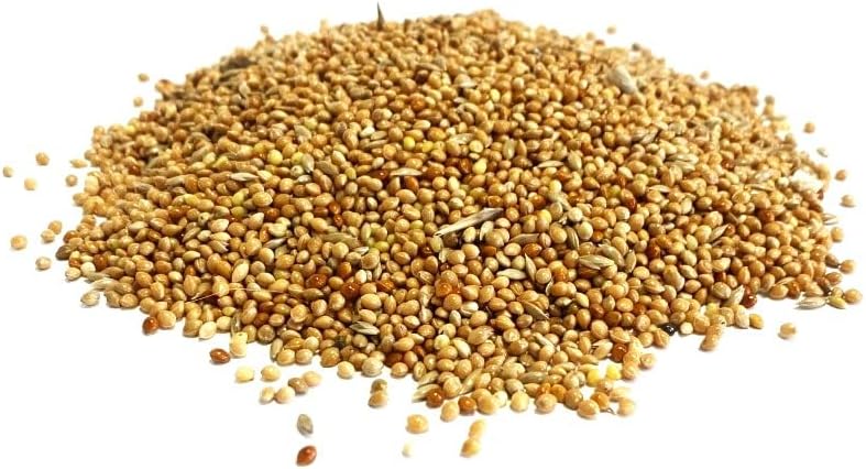 Maltbys' Stores 1904 Limited 5kg BUDGIE SEED MIXED CAGE BIRD FOOD