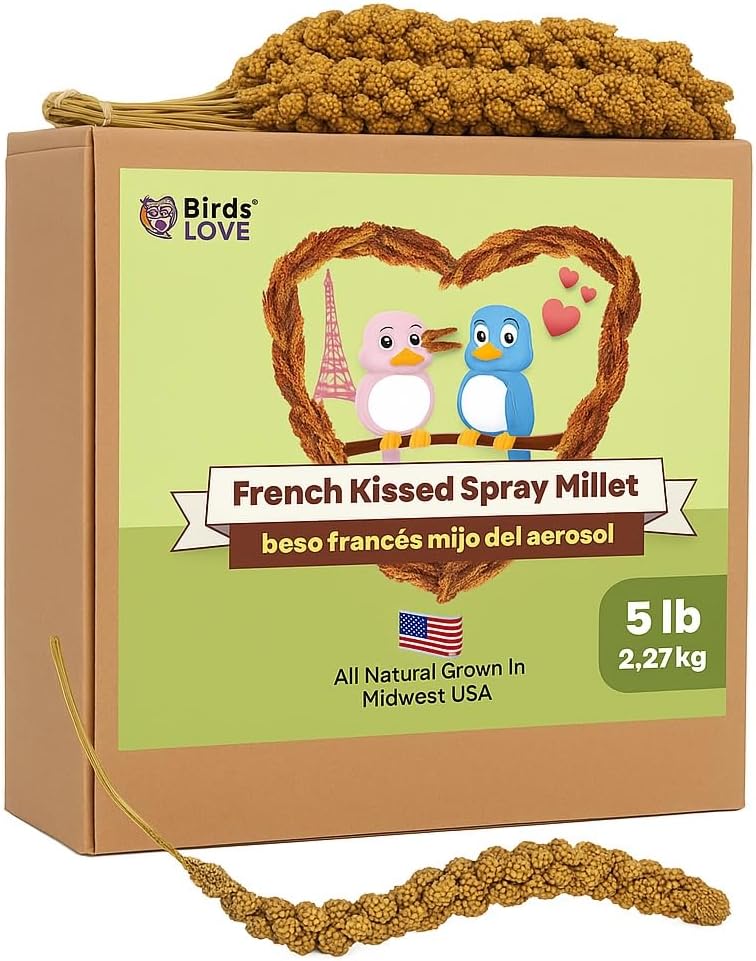 Birds LOVE 5lbs French Kissed Spray Millet for Birds – Non-GMO, Harvested & Packed in the USA – Natural Sun-Dried Millet with Stems for Parakeets, Cockatiels, Conures, Parrots & Budgies