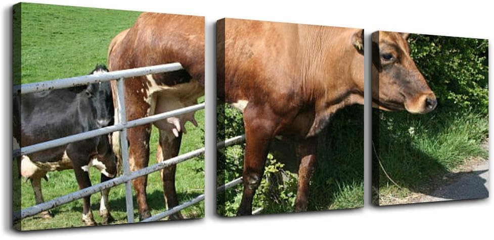 Cow and Gate 3 Piece Canvas Wall Art for Living Room Bedroom Office Framed Prints Pictures Painting Wall Decor Artwork for Walls Set of 3