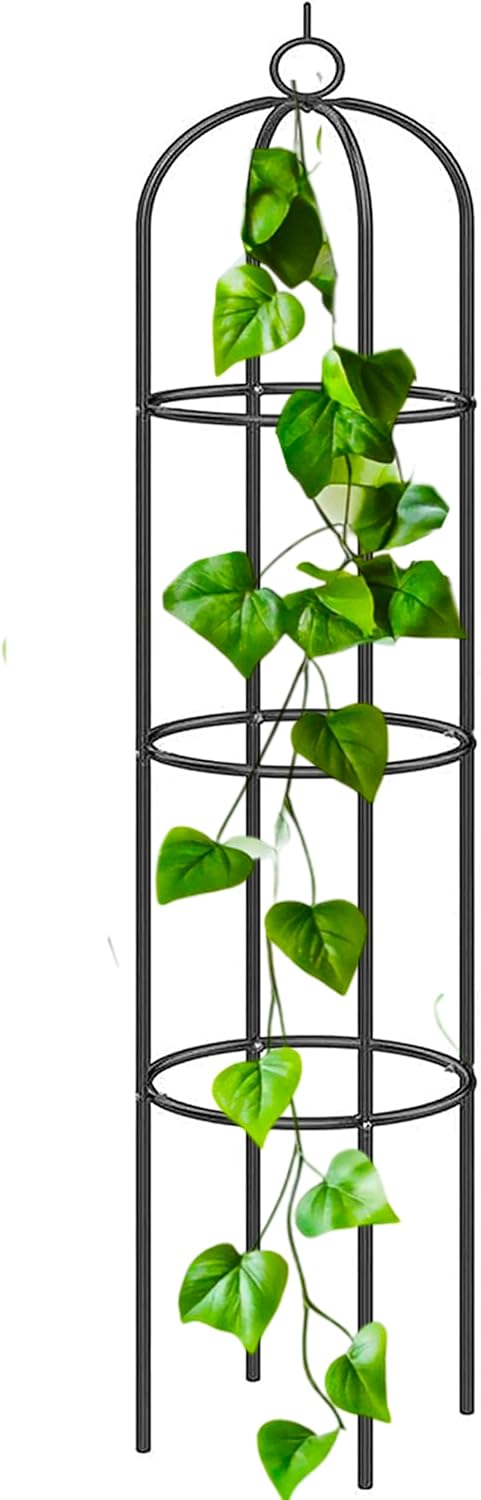 DIVCHI Black Metal Garden Arbour Arch Steel Frame Garden Arch for Climbing Plants, Roses (Black (Garden Obelisk) Style 2)