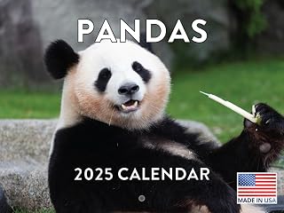 Panda Calendar 2025 Panda Gifts Monthly Wall Calender 12 Month