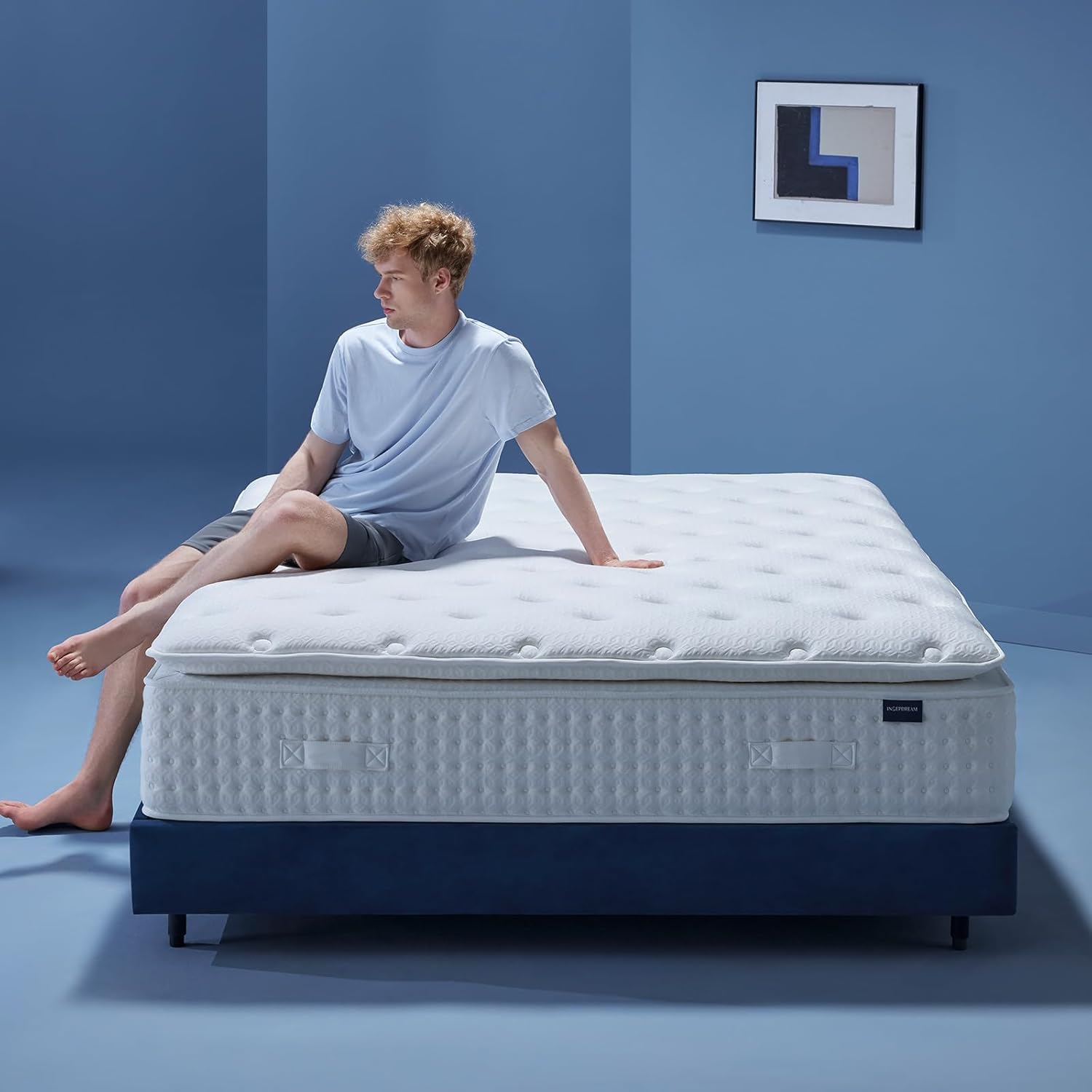 14 Inch Queen Mattress Pillow Top Hybrid, Plush Feel, Natural Latex + Memory Foam, Cooling Tencel Fabric, Pocket Coil Support, CertiPUR-US Certified