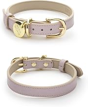 Milan Vegan Leather Dog Collar - Padded Luxury Dog Collar with Adjustable Buckle - Collar for Dogs, Dog Collar for Small Dogs to Dog Collar for Large Dogs - Color Lilac, Size Small