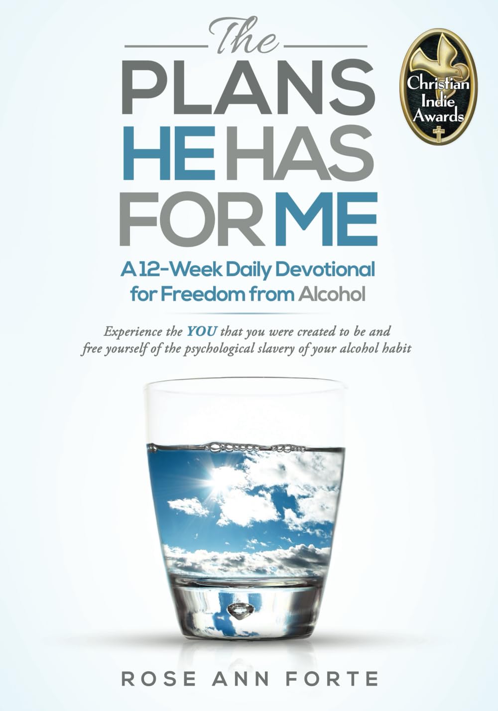The Plans He Has For Me: A 12-Week Daily Devotional for Freedom from Alcohol (Transformed by Truth: A Devotional Series for Freedom and Lasting Change)