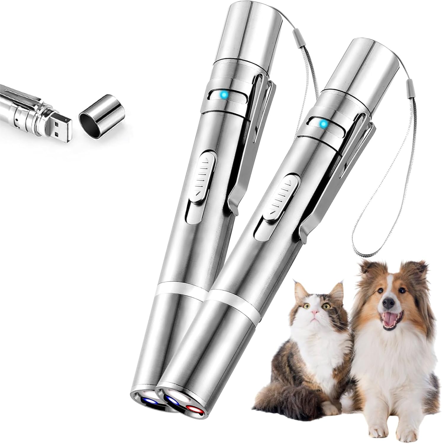 2pcs Laser Pointer, Cat Toys for Indoor Cats, Kitten Dog Laser Pen Toy, Red Dot LED Light Pointer Interactive Toys for Indoor Cats Dogs, USB Charging, 5 Switchable Patterns