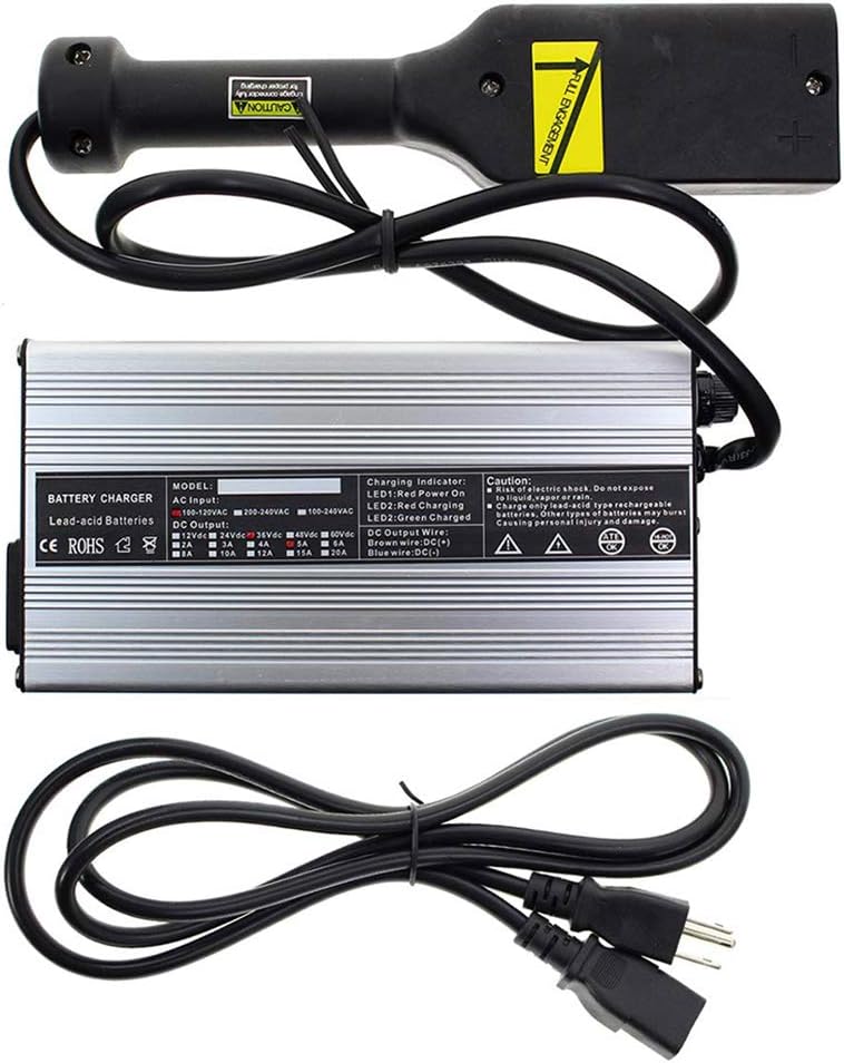 36 Volt 5 Amp Powerwise Golf Cart Battery Charger for EZ-GO EZGO Fully Medalist, by LIYYOO
