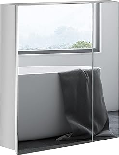 kleankin Wall-Mounted Medicine Cabinet with Mirror, Bathroom Mirror Cabinet Wall Mounted with Hinged Door, Storage Shelves for Living Room and Laundry Room, 21" x 24", Silver
