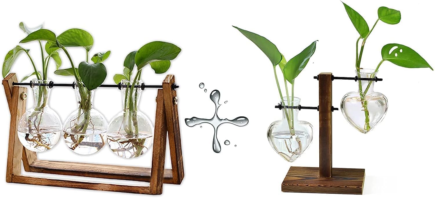 XXXFLOWER Plant Terrarium with Wooden Stand Air Planter Bulb Glass Vase Metal Swivel Holder Retro Tabletop for Hydroponics Home Garden Office Decoration