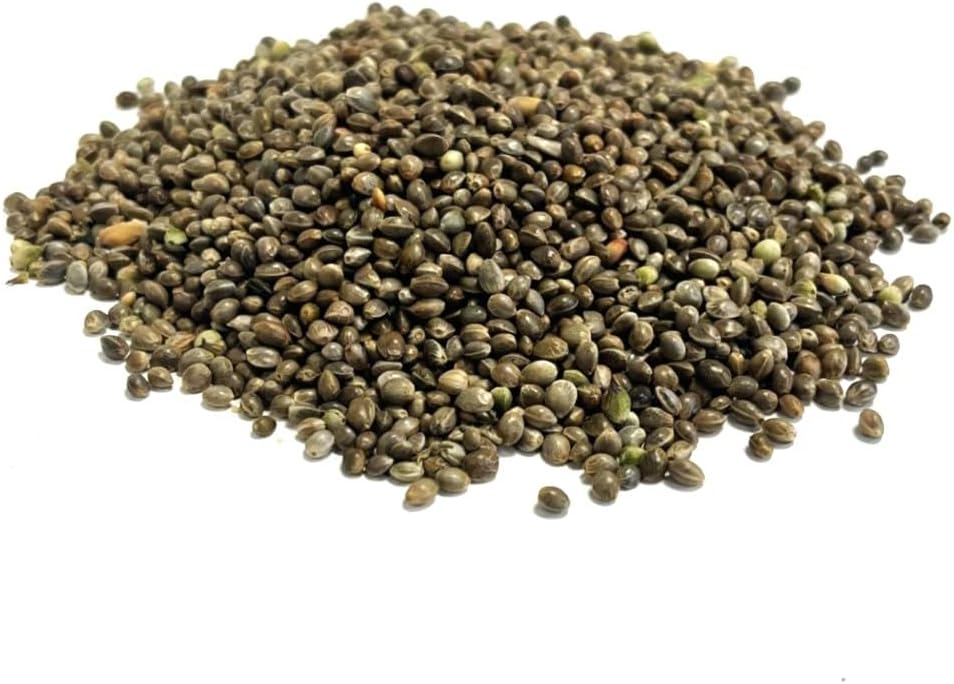 MALTBYS' STORES 1904 LTD Hemp Seed 15kg Quality Fishing Bait and Bird Seed