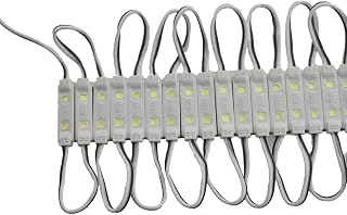REXTiN Super Bright 200pcs Mini 2835 2 LED Module DC12V Waterproof Decorative Light for Letter Sign Advertising Signs with Tape Adhesive Backside (White)