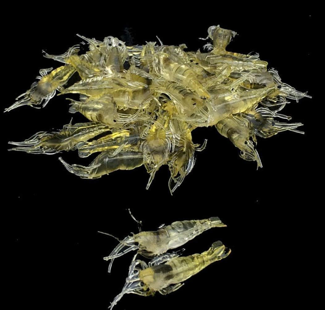 10 Pcs 4cm Simulation Fake Bait Grass Shrimp Lures Soft Shrimp Bait Fishing Gear Cost-Effective Convenient Soft Lures Lures, Baits and Attractants
