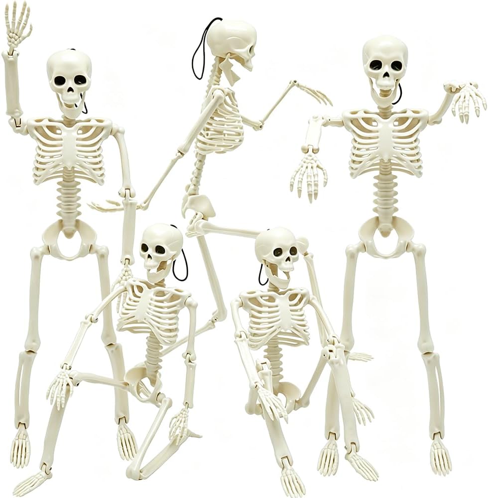 WODMAZ 5 Packs Halloween Skeletons, 16" Halloween Full Body Skeleton with Posable Joints for Haunted House Graveyard Props Decor