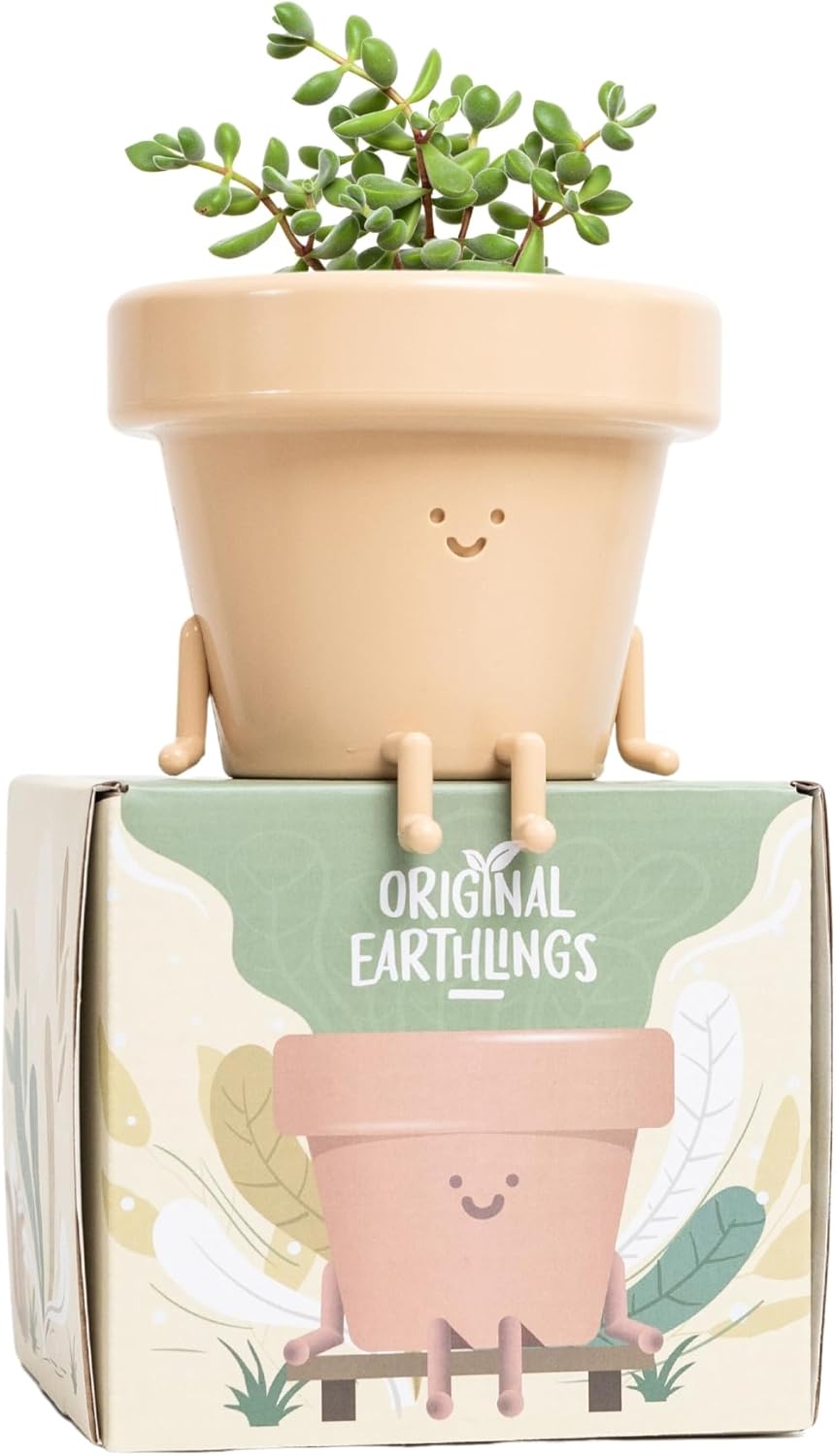 Original Earthlings Sitting Pot - 3.5 Inch Cute Plant Pot - Plastic Funny Planter with Drainage - Unique Cactus Lover Gift - Small Succulent Face Flower Pot - Cute Plant Gifts for Plant Lovers