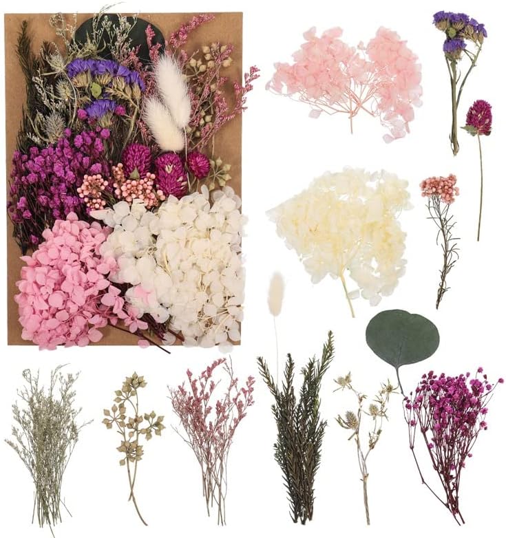 Opopark Natural Dried Flowers Set, Real Pressed Flowers for Scrapbooking, DIY Candles, Resin Jewelry Making, Crafts Home Decoration