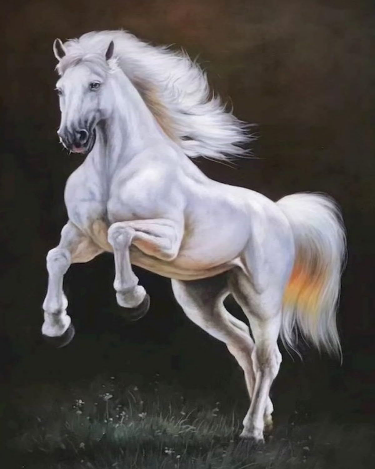 WANGXIAO Paint by Numbers for Adults,DIY Oil Number Painting Canvas Kits, Adults for Gifts Home Wall Decor,20x16inch，White Horse Leaps,Frameless