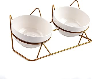 Cat Bowls, Double Ceramic Pet Bowls with 15°Tilted Raised Stand for Food and Water, Anti Vomiting Cat Dish Feeder, Perfect for Puppy Cats and Small Dogs(Double Bowls1)