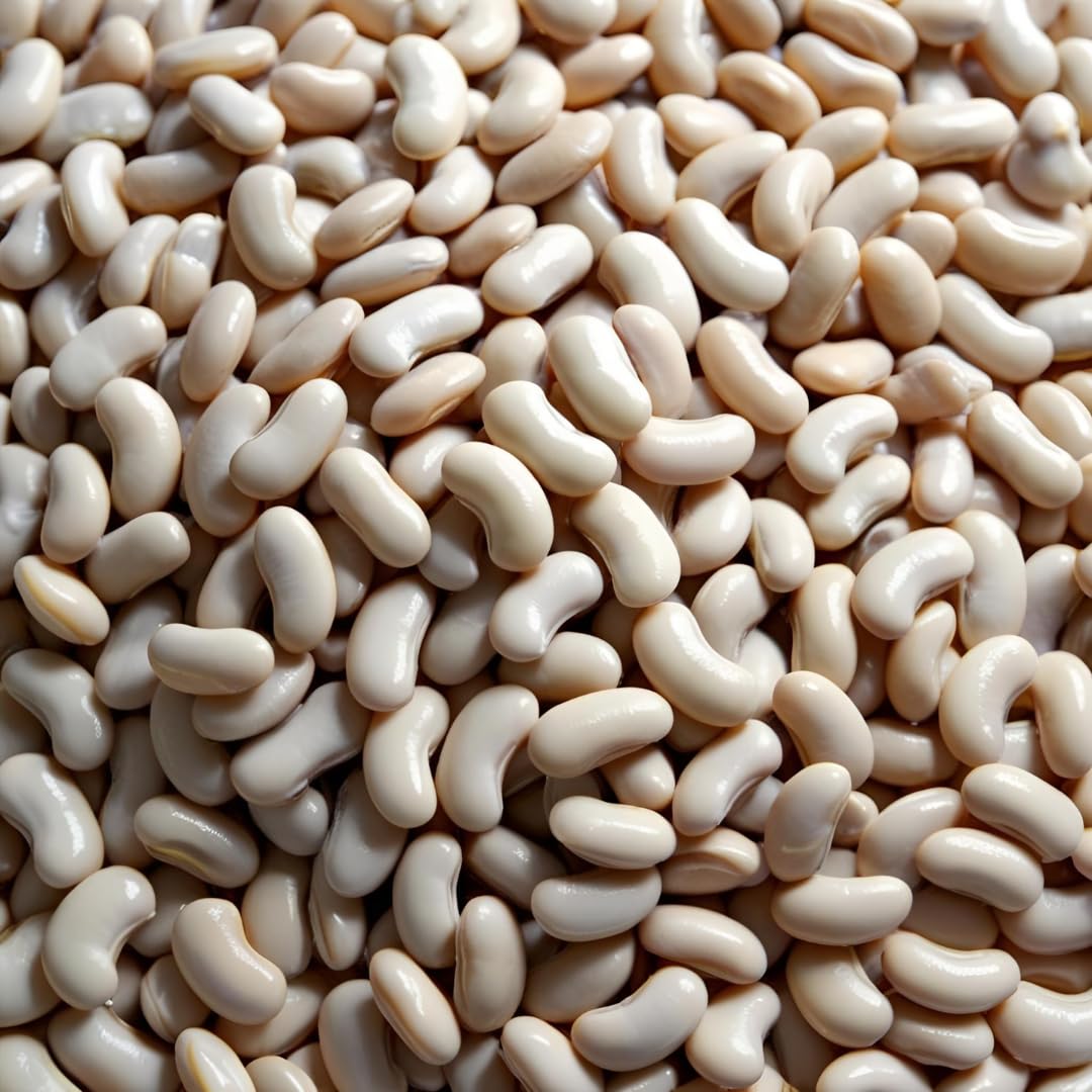 Unearthed Navy Beans 50 lbs – Premium Dried White Beans for Cooking, Non-GMO, Vegan, Kosher, Gluten-Free – Plant-Based Protein Bulk Pantry Staple – Alternative to Black Beans and Chickpeas