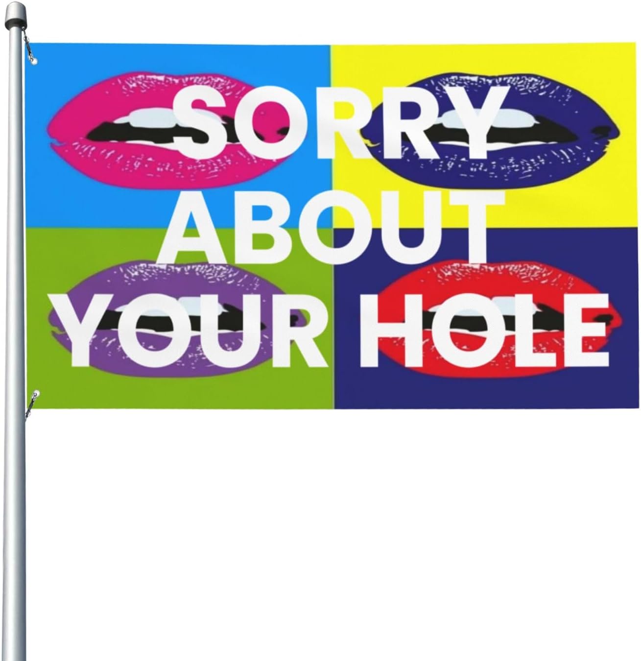 Sorry About Your Holle Flag 3x5 Funny Outdoors Garden Flags Banner Indoor Outdoor Yard Decoration Hanging